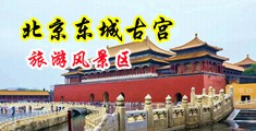 琪琪色日韩中国北京-东城古宫旅游风景区